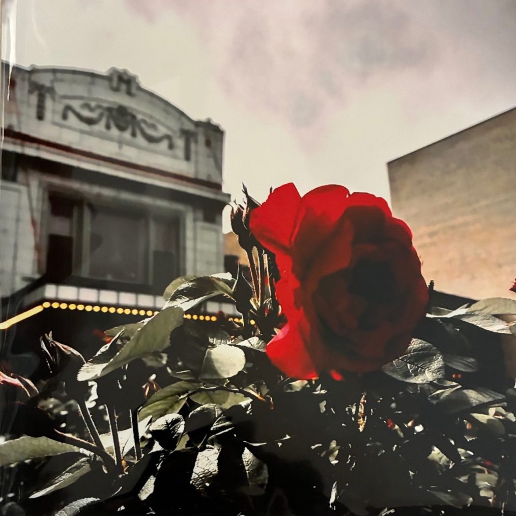 400Rose - laser print