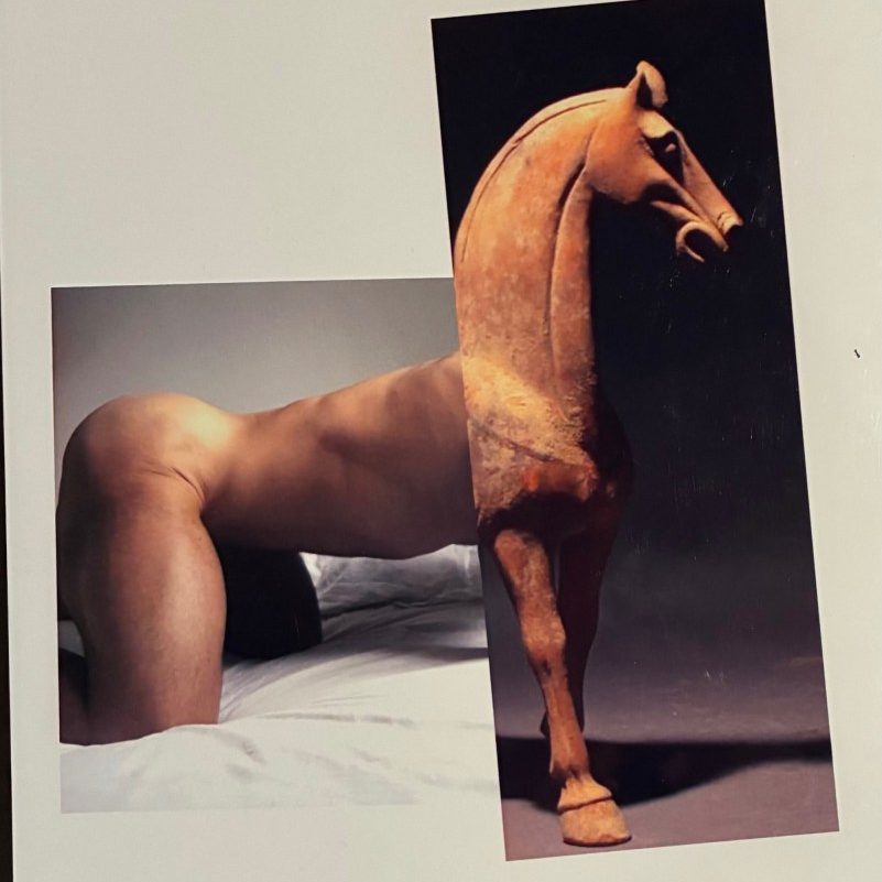 Asian Horse - print