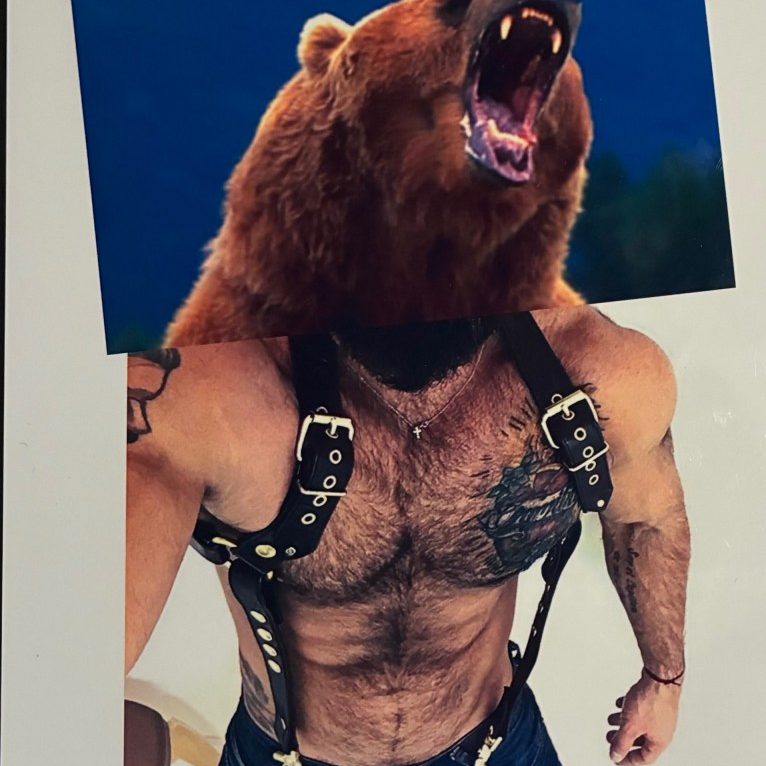 Blue Bear - print