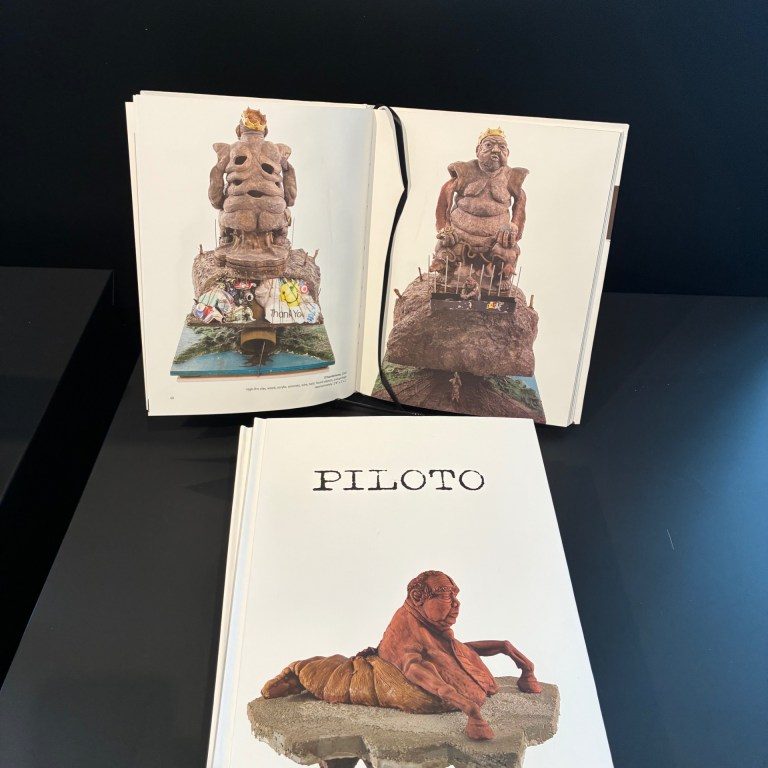 Piloto- sculpture book