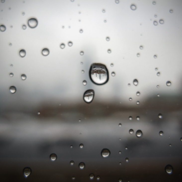 Rain - print