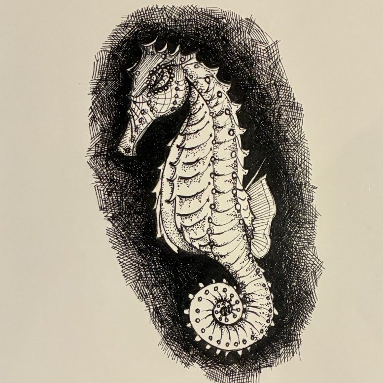 Seahorse - matted print