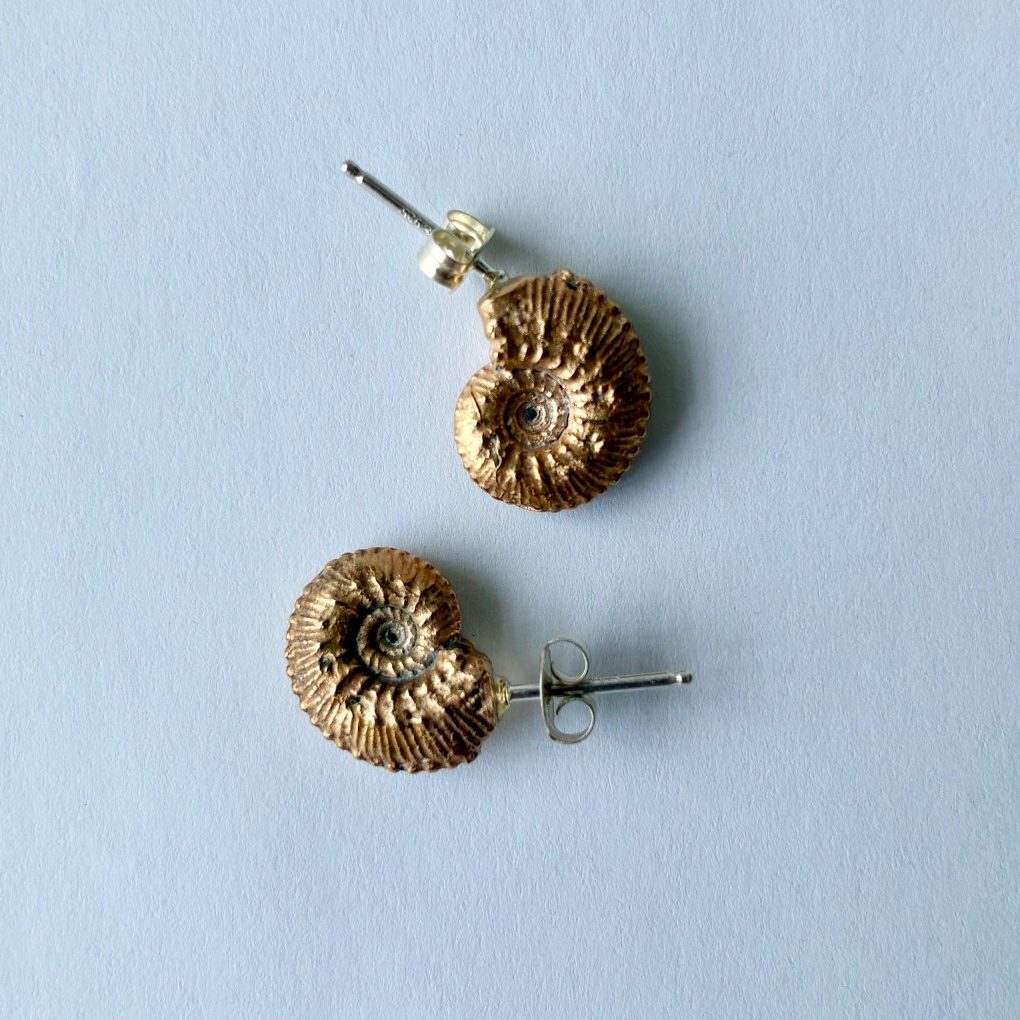 "Bronze Ammonite Earrings" - Roslyn Broder