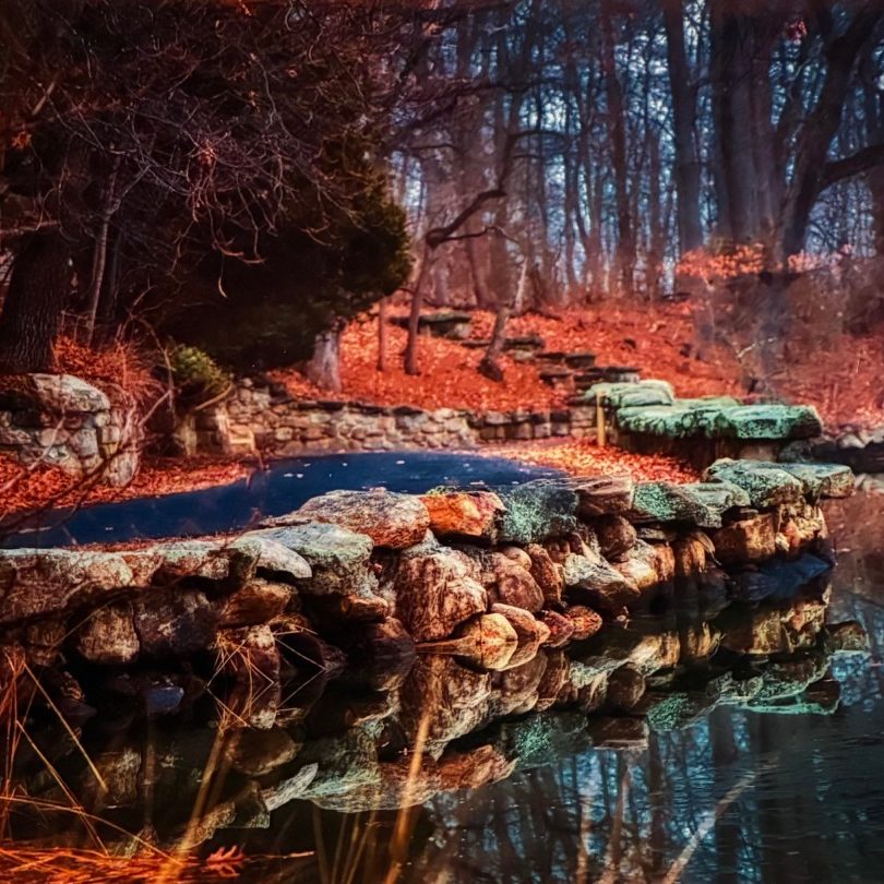 Beautiful Nature