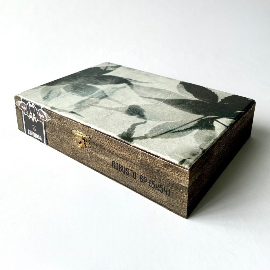 Brown Box with Leaves Photogravure Print - Cigar Box