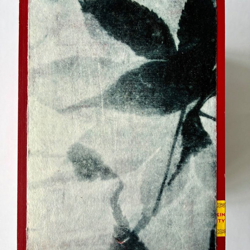 Red Box with Leaves Photogravure Print - Cigar Box