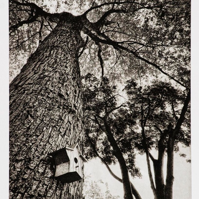 Looking Up IV - print