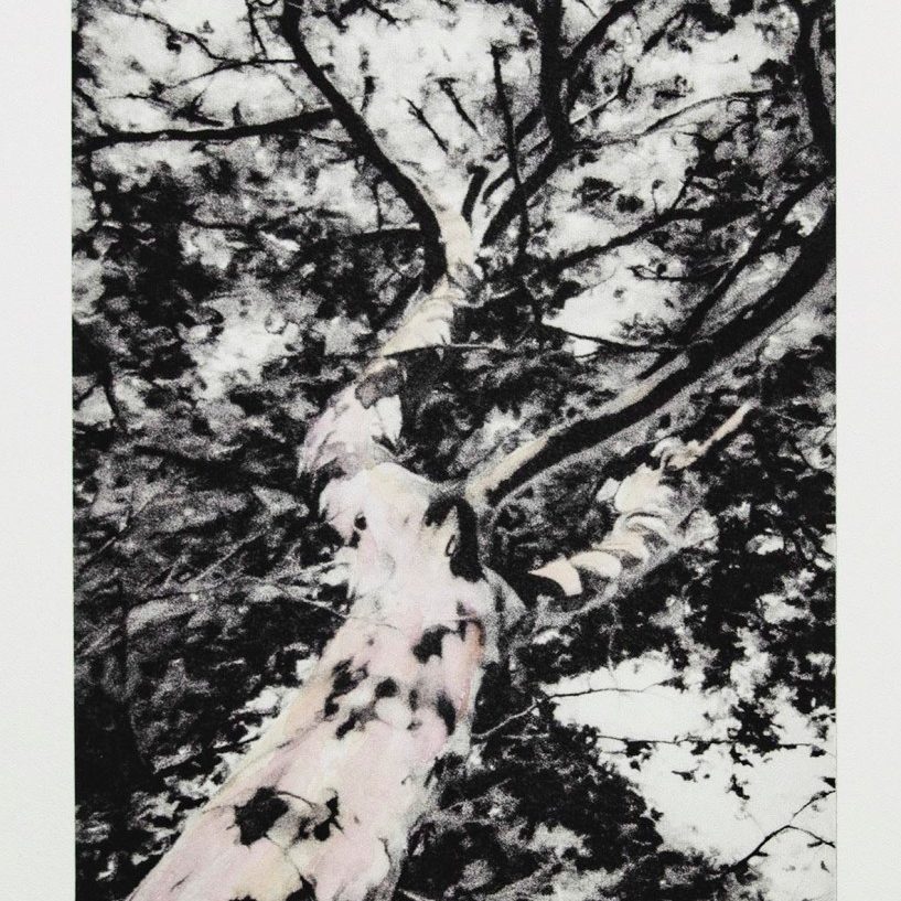 Looking Up V - print