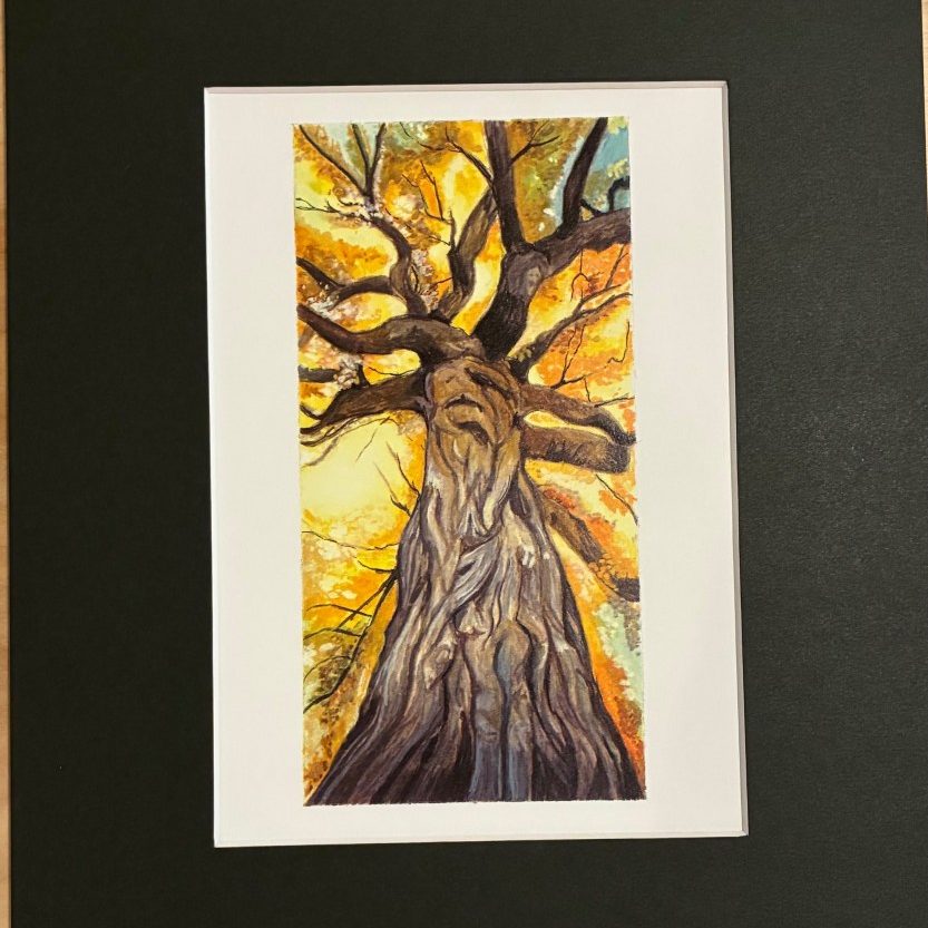 "Tree” (Framed Print) - Micki Croisant