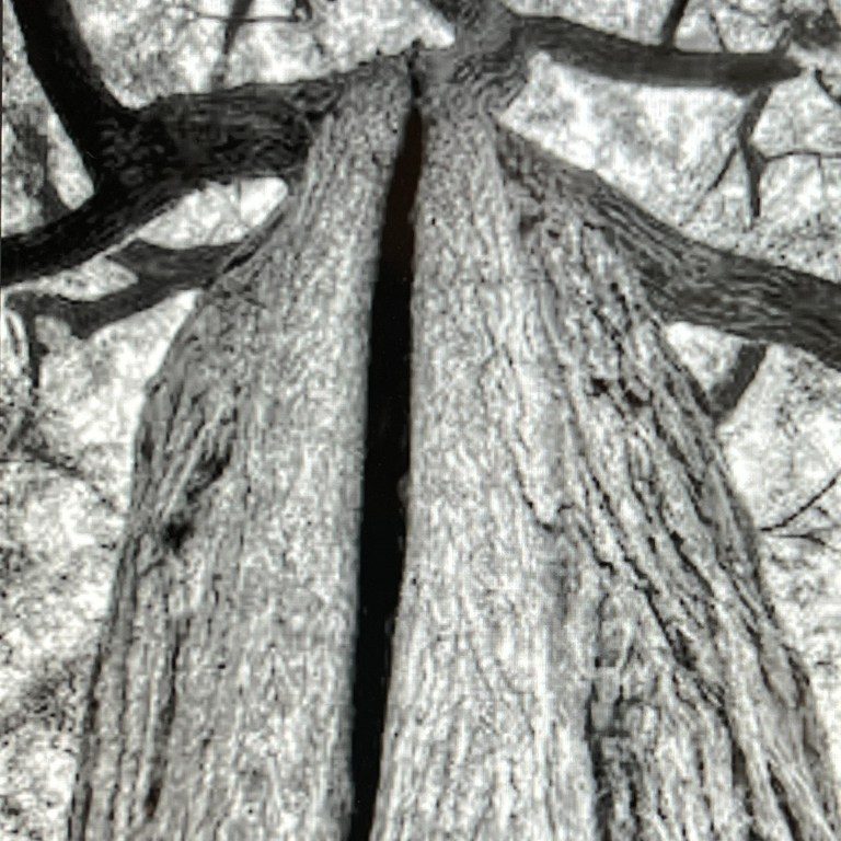 "13 X 19" Loose Print" - Mike Sebahar
