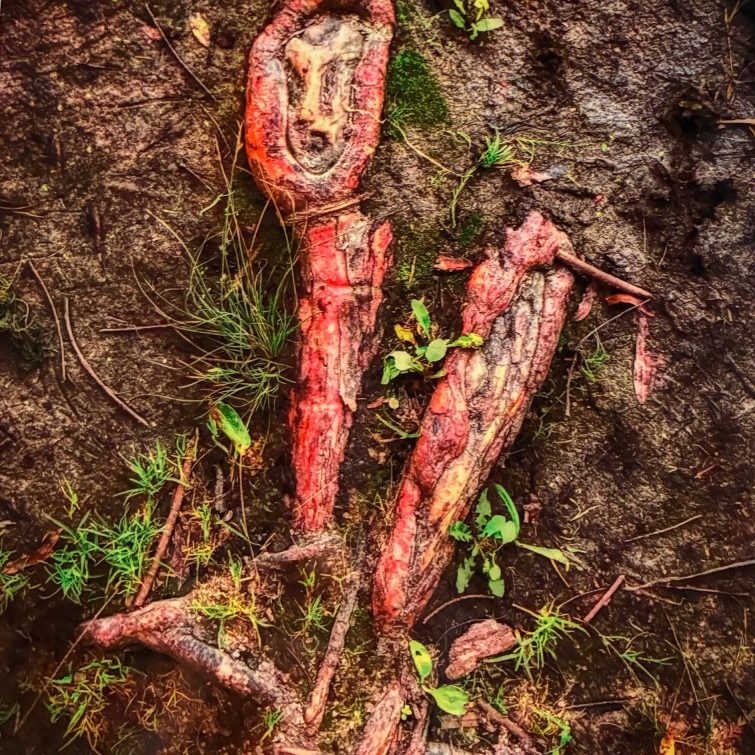 Root Awakening - print