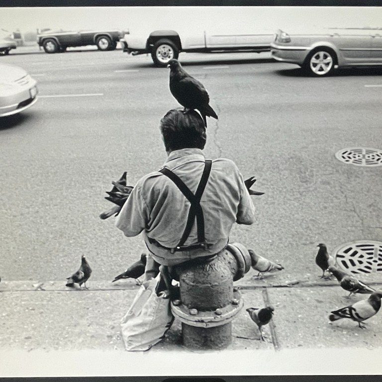 Candice Johnson - Pigeonman