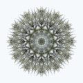 "Nature 3" - Steve O'Connell