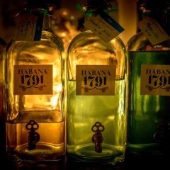 "1791" (print) - Steve OConnell