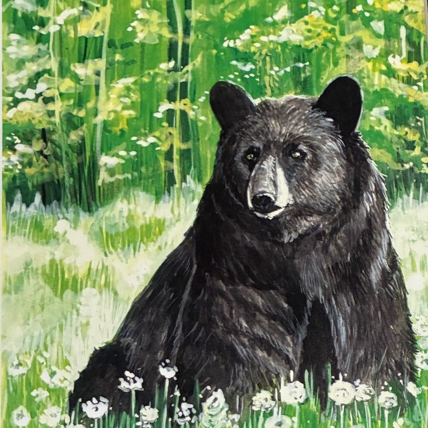 "Grizzly Bear" (Matted Print) - Micki Croisant