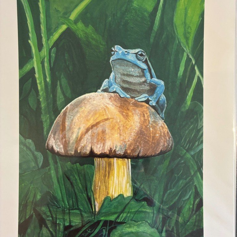 Micki Croisant - Blue Frog
