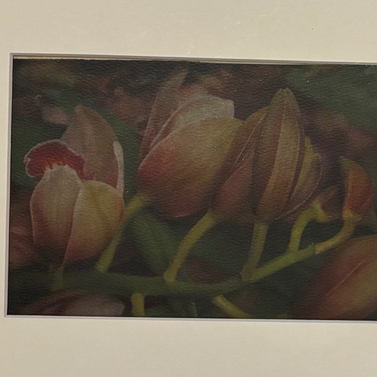 "R91" - Jeanne LaCasse